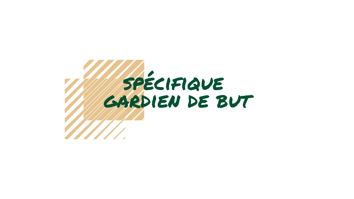 Spécifique gardien de but